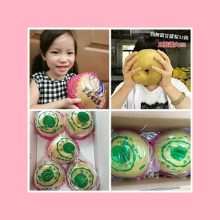JK+3 🇹🇼超大尺寸寶島甘露梨👍產地直送~甜美多汁🔸️A款2入禮盒🔸️B款5入禮盒_210813