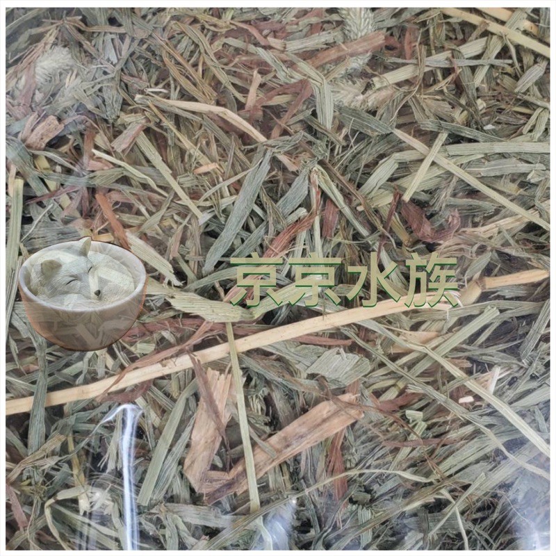 提摩西草 500g  二割 牧草 陸龜 龍貓 天竺鼠 鼠類 兔子 磨牙 蜥蜴 墊材 底材 京京水族