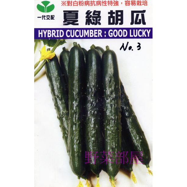 【萌田種子~】K61 日本夏綠小黃瓜種子5粒 , 抗白粉病 , 耐熱性強 ,每包16元 ~