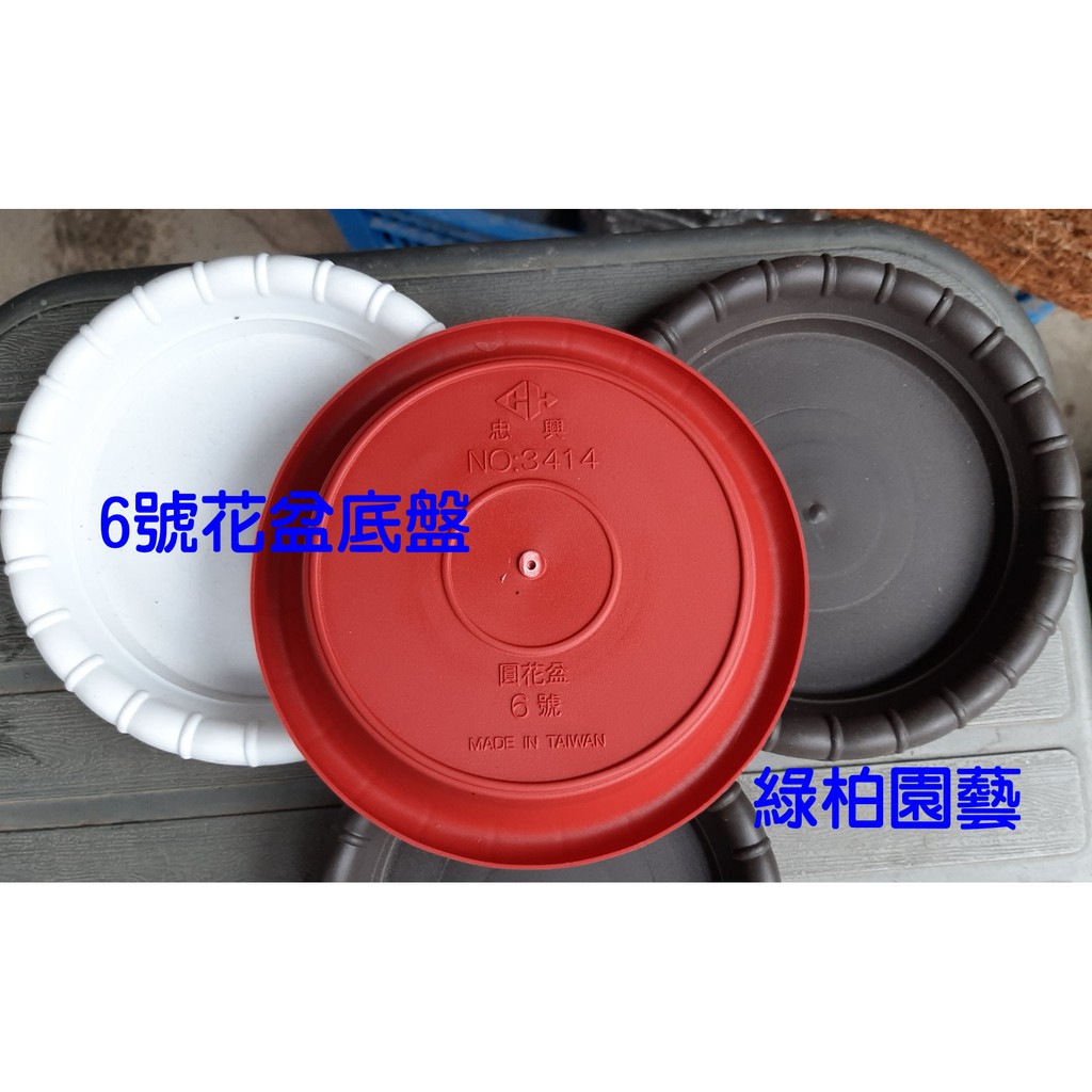 Sulin077 6號底盤 花盆底盤 塑膠底盤 圓盤 水盤 綠柏園藝資材 蝦皮購物
