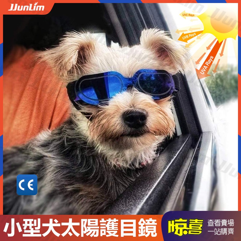 狗太陽眼鏡寵物墨鏡眼睛護目鏡頭套抗uv防風塵小中型犬 炫彩藍色 現貨24h快速出貨 獸醫推薦的眼睛保護 蝦皮購物