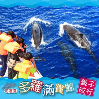 7baby票券 - 附發票【花蓮】多羅滿-賞鯨親子券(一大一小) 或 (二大人) 任選
