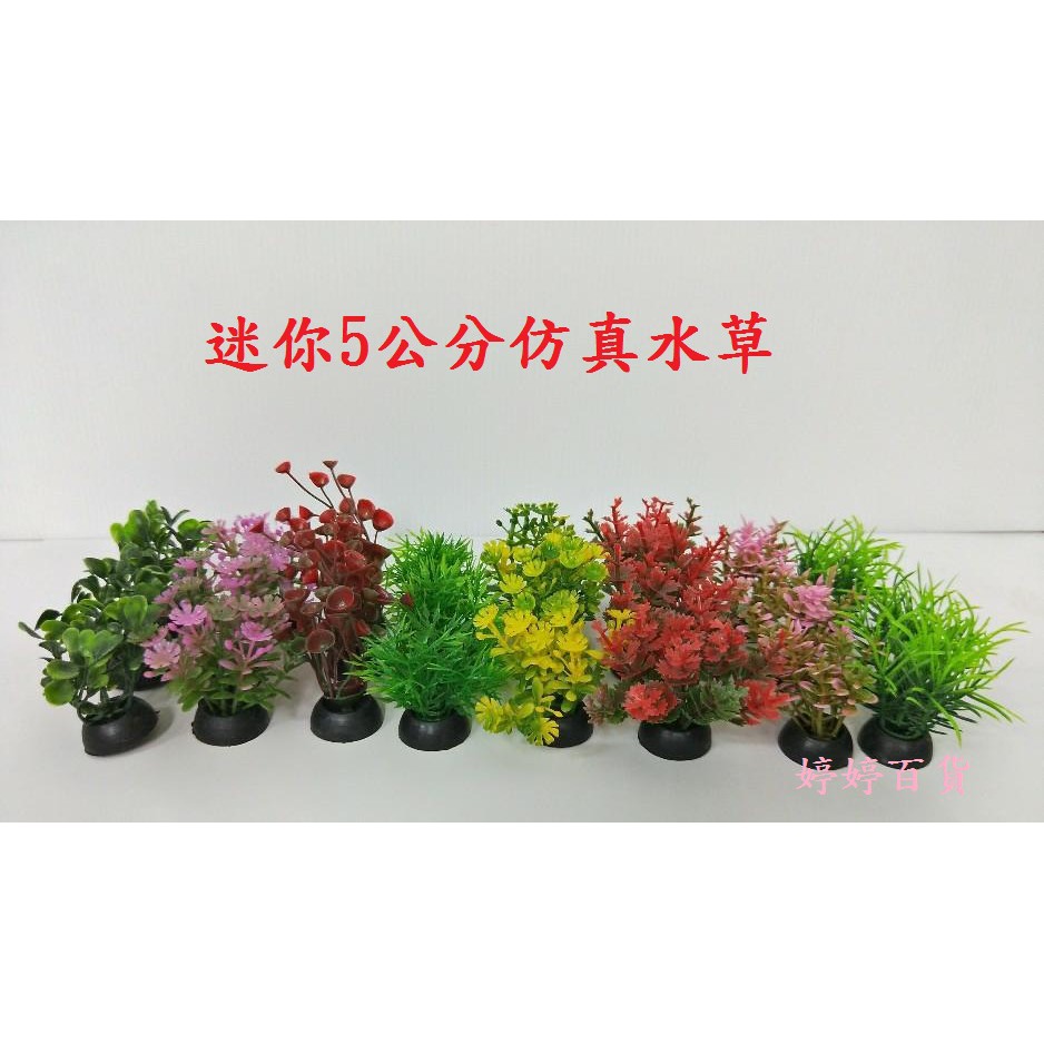 迷你5公分水族仿真水草塑膠花草塑膠水草造景裝飾美化魚缸爬缸佈置庭園多肉 蝦皮購物