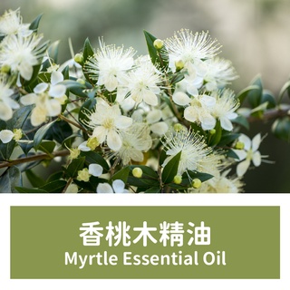 【馥靖精油】香桃木精油 Myrtle Essential Oil