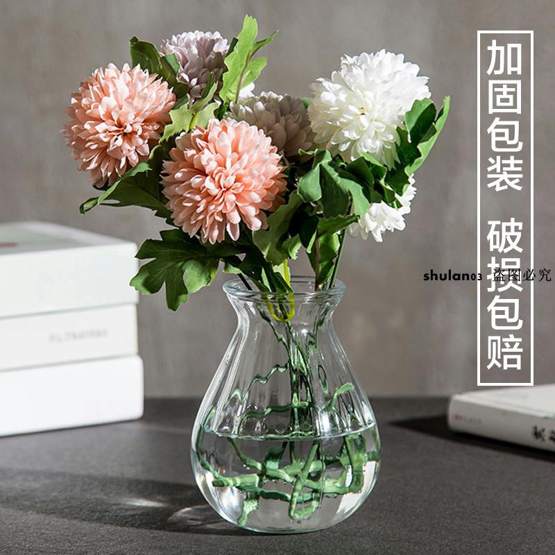 水培創意玻璃花瓶水仙花植物水培容器插花瓶綠蘿透明花盆風信子瓶 蝦皮購物