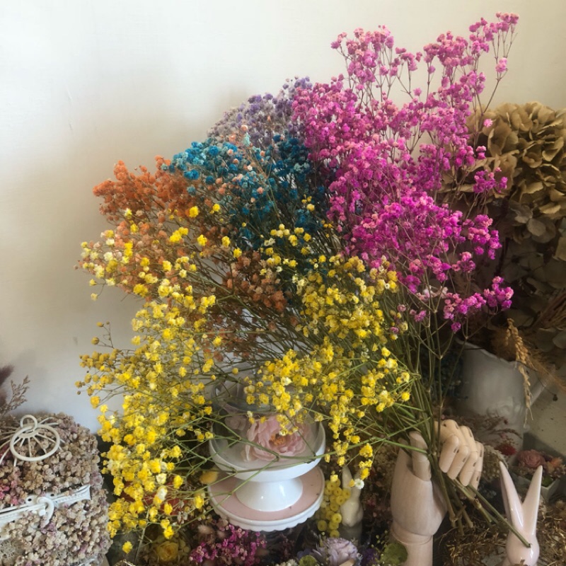 乾燥花 染色滿天星天藍 紫色 橘黃 黃色 翠綠 桃紅 Zakka 婚禮布置手作素材浪漫情人告白結婚花束 蝦皮購物