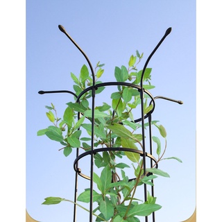 雲上森林花傘，花架270公分，直徑50CM，包塑鐵管，包塑鋼管，爬藤架 園藝爬藤月季花架 插接式蓮花攀爬支架U型高