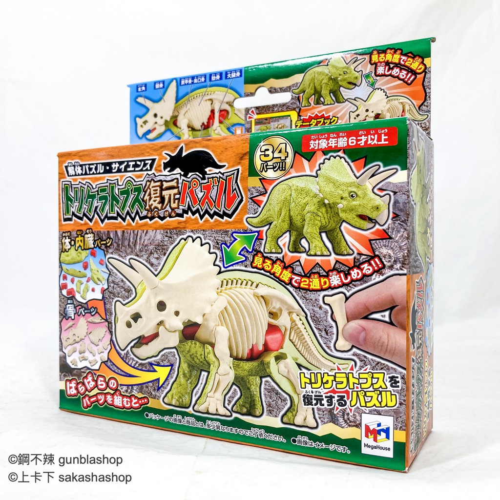 Megahouse 解體拼圖三角龍自然科學系列益智拼圖 鋼不辣商舖肉體 化石 兩面造型趣味拼圖 蝦皮購物