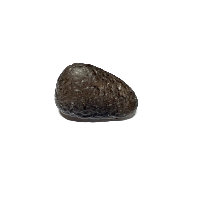 亞利桑那隕石 如意寶珠天狼星隕石-B2