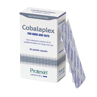 Protexin cobalaplex 可萊適 維生素B12 葉酸 益生菌 寵特寶