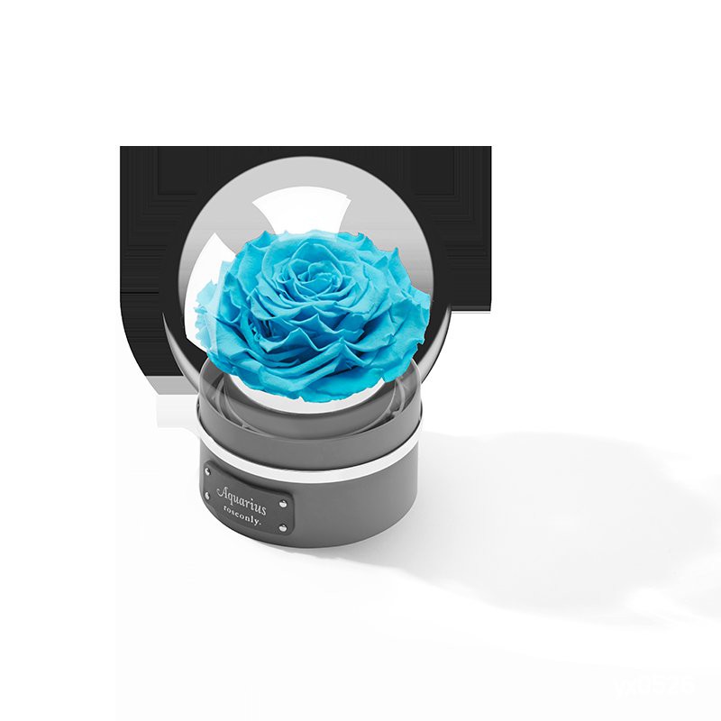 美麗的小屋 Roseonly永生玫瑰十二星座守護色永生花音樂球禮盒 10天到貨母情節禮物x51p 蝦皮購物