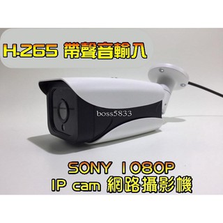  265/264 SONY IP Cam 1080P 帶聲音輸入 高畫質網路攝影