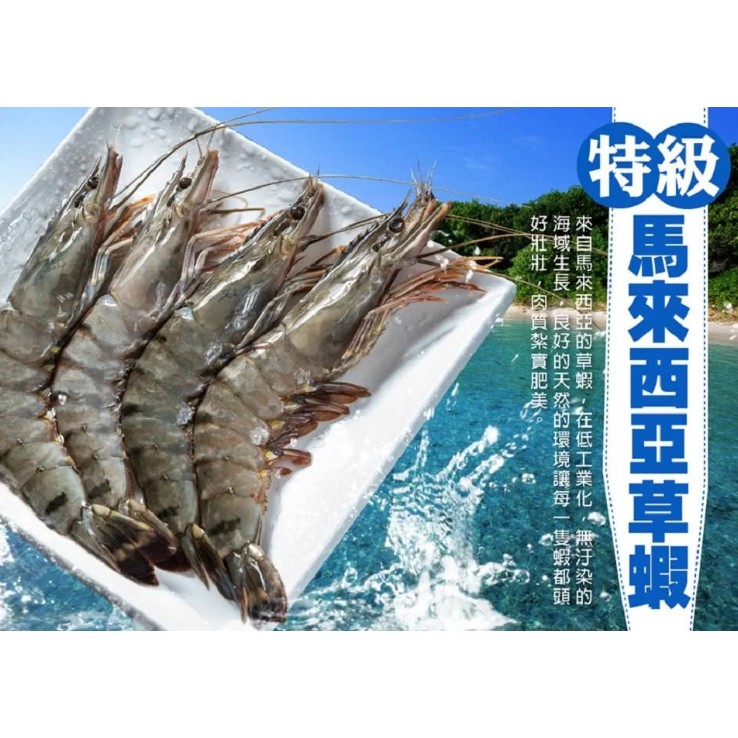 超凡生鮮 海老王草蝦 10p 400g 10 盒 消費滿 1499運費 149 1799免運 蝦皮購物