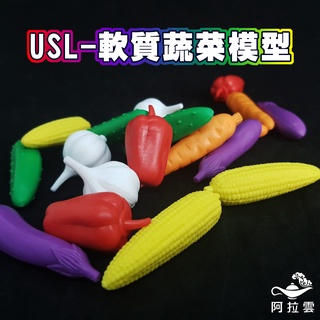 【阿拉雲市集】商檢合格-遊思樂USL 軟質蔬菜模型18個 兒童玩具 兒童節 教師教學素材
