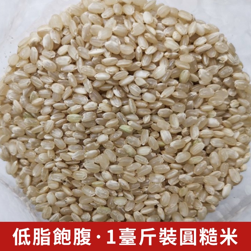 【穀粒穀力】圓糙米 1臺斤裝 豆漿粉原料 臺灣 圓糙米散裝