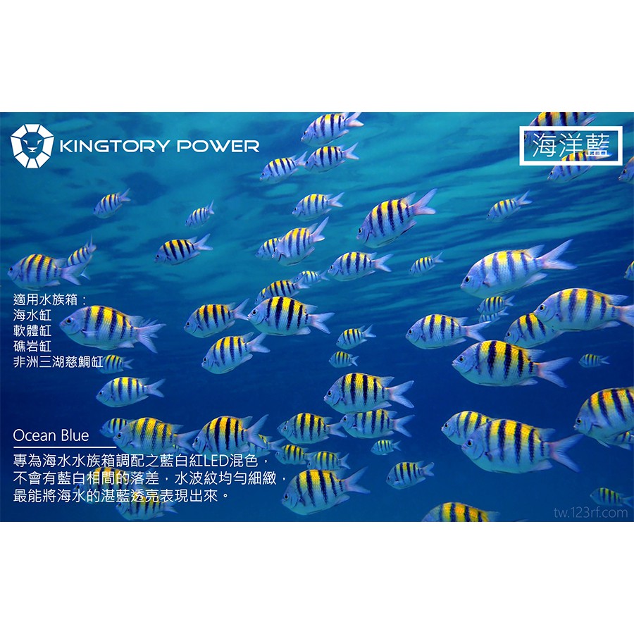 Led 水族燈 1 5 5呎 海洋藍光 Kal Ob 智慧型藍芽遙控調光定時水族燈 適用海水缸 魟魚缸 礁岩缸 慈鯛 蝦皮購物