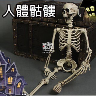出清特價！萬聖節必備《人體骷髏》骨骼 骨架 模型 密室逃脫 鬼屋 派對 尾牙 搞怪【飛兒】