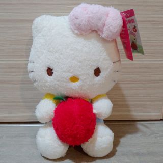 Hello Kitty 凱蒂貓 正版 音樂 娃娃 玩偶 玩具 sanrio 三麗鷗