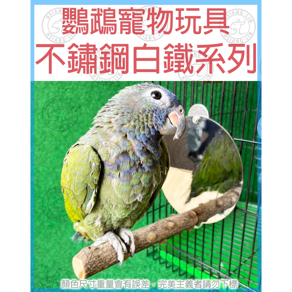 ❄中華鳥園❄鸚鵡寵物玩具-不鏽鋼白鐵具系列  小米穗架/玩具籃/鏡子/鞦韆/鸚鵡/小動物/兔/天竺鼠/倉鼠