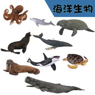 玩得購【英國高擬真模型 collectA】海洋生物-虎鯨/抹香鯨/藍鯨/座頭鯨/鯨鯊/大白鯊/海象/白鯨/章魚/海獅