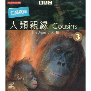 【VCD】BBC 紀錄片 人類親緣 3 人猿 //全新商品// A41