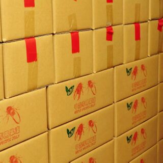 甲蟲專用果凍（黑糖口味5公斤下標區）#蜜袋鼯#刺蝟#倉鼠#小鳥#獨角仙#金龜#鍬形蟲