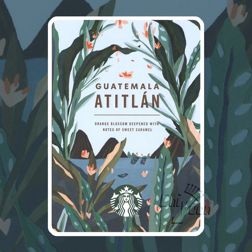 Starbucks 台灣星巴克 2019 瓜地馬拉阿蒂特蘭黃金烘焙咖啡豆 阿蒂特蘭湖 橙花 酷卡 明信片 咖啡豆卡