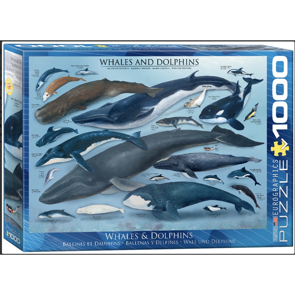 Euro 鯨魚 海豚1000片拼圖 蝦皮購物