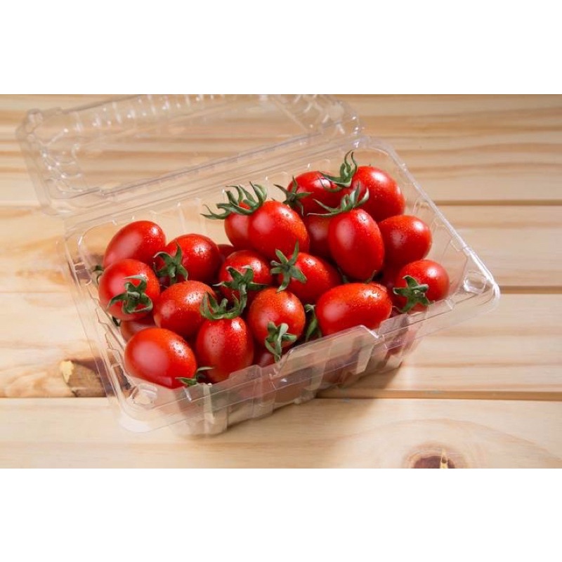（不含水果）番茄盒  飼養盒  水果盒  包裝盒 透明盒1盒3入