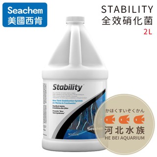 [ 河北水族 ] 美國 SEACHEM 西肯 【STABILITY全效硝化菌 2L 】N-1128