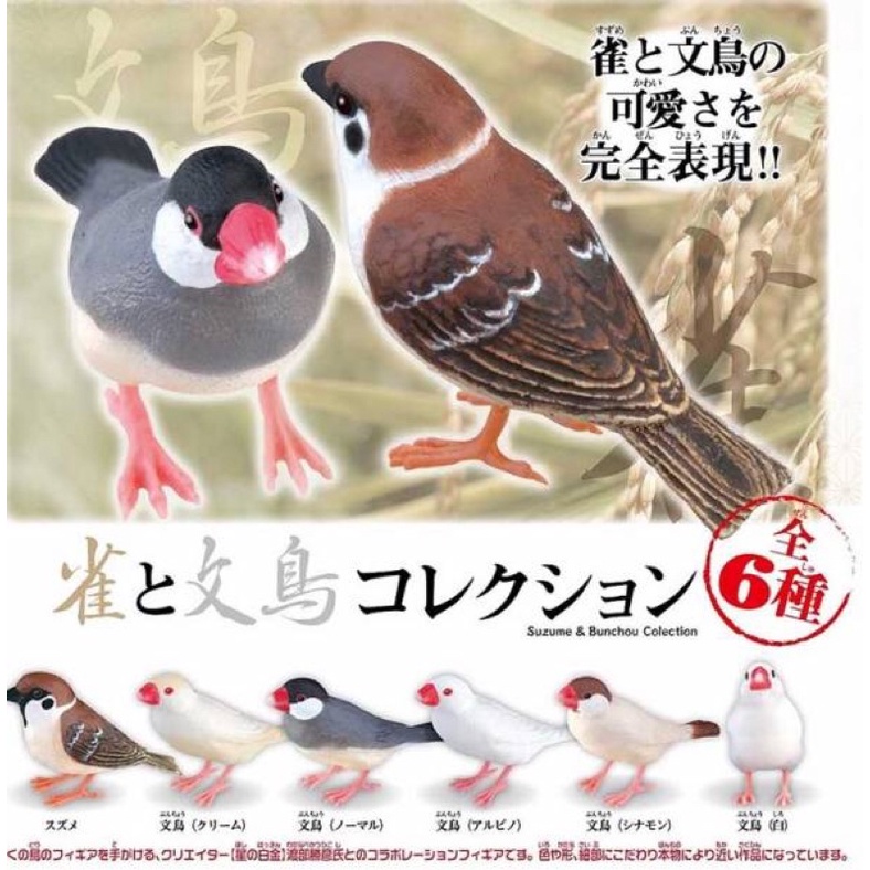 麻雀與文鳥扭蛋轉蛋麻雀啾太郎文鳥雀鳥公仔玩具擺飾 蝦皮購物