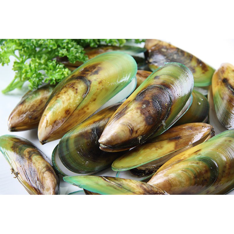 年菜系列 紐西蘭全殼淡菜 約1000g 包 孔雀蛤 貽貝 教你做色香味俱全的蒜香孔雀貝 蝦皮購物