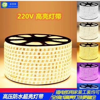 佳林電子特賣220V高壓LED燈帶2835軟燈條5050高亮戶外防水雙色溫三色柔性燈帶