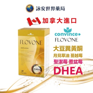 康心 芙蕾蒙FLOVONE 大豆異黃酮軟膠囊 60粒/盒 DHEA 大豆異黃酮 蔓越莓 月見草油【 詠安世界商城】