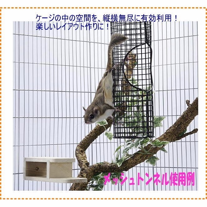 日本Sanko 蜜袋鼯 松鼠 攀爬架籠內隧道玩道(鐵)