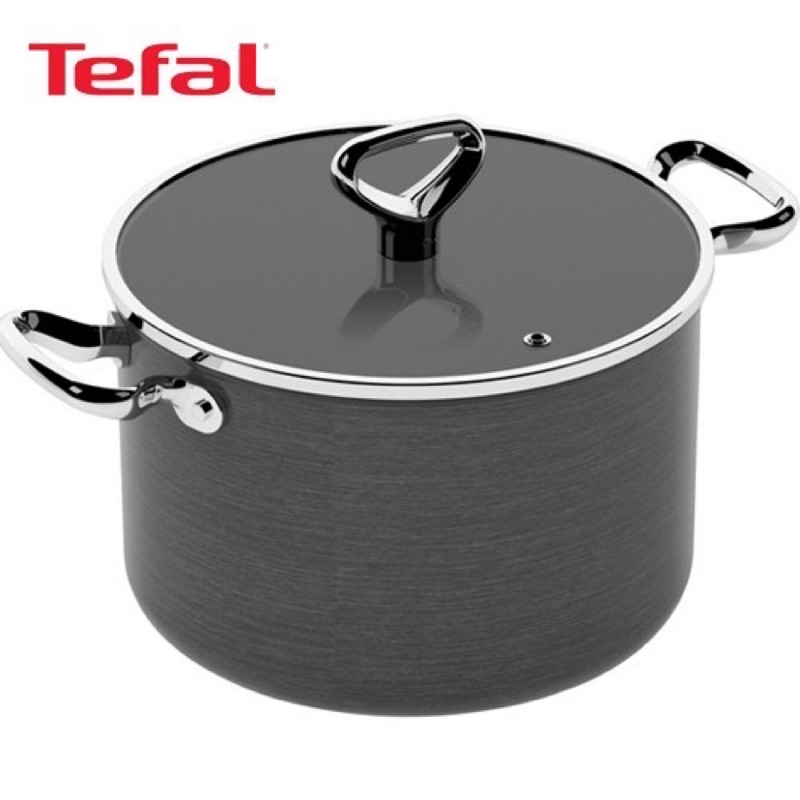 Tefal 法國特福 傳承陽極系列 24公分湯鍋(含鍋蓋)