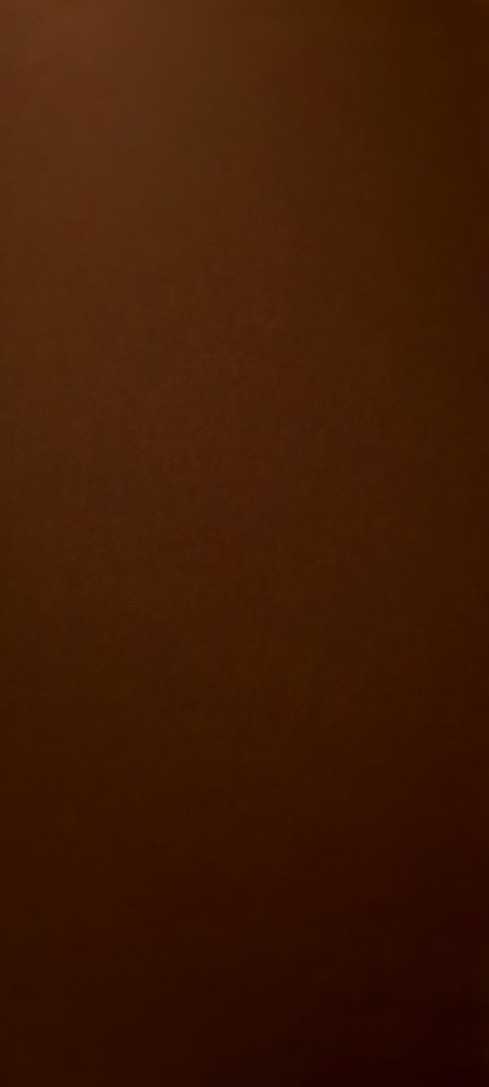 多款招財小物小金龜錢龜錢歸招財化煞開運招福金錢龜擺件幸運物聚財聚寶united Freak 蝦皮購物