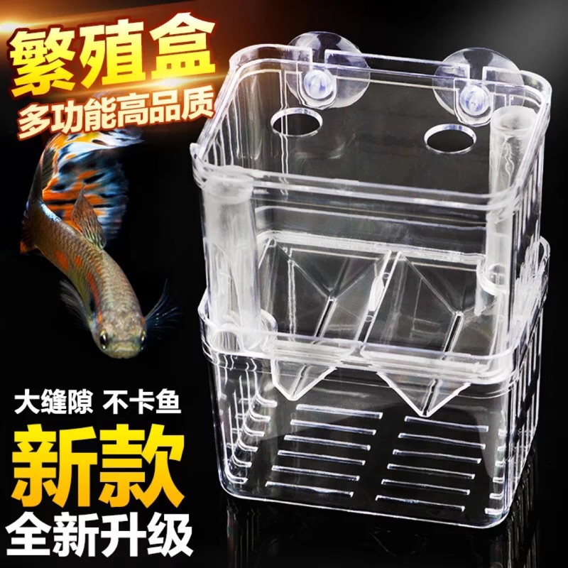「水尬」孔雀魚繁殖盒、魚苗、仔魚繁殖盒，大盒雙層孵化盒