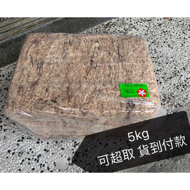 可超取 智利水苔 水草 5kg 0.5kg水苔 捕繩草 捕蟲堇 食蟲植物 蘭花 介質 資材 園藝 佈置 盆栽 花盆