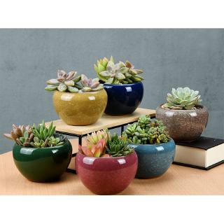 現貨 多肉花圈 鐵線花環 中 鄉村風美式鄉村復古風可吊掛龜甲網鐵製花環聖誔花圈 花園城堡 蝦皮購物