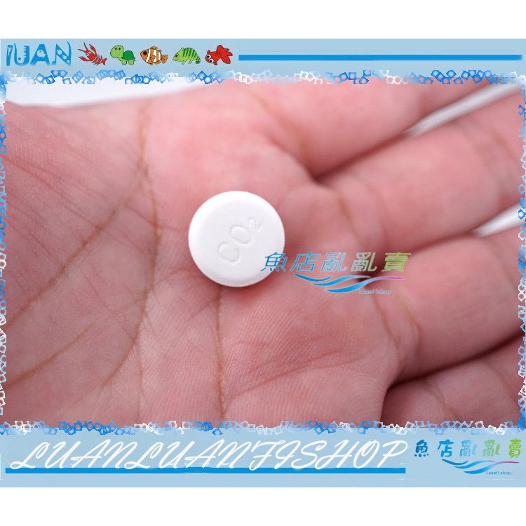 魚店亂亂賣 Luanfishop嚴選水草co2錠100錠裝二氧化碳錠 水草缸最愛免用鋼瓶 蝦皮購物