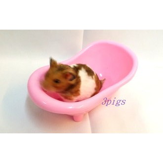 【三隻小豬寵物用品】黃金熊浴缸造型便盆 塑膠材質