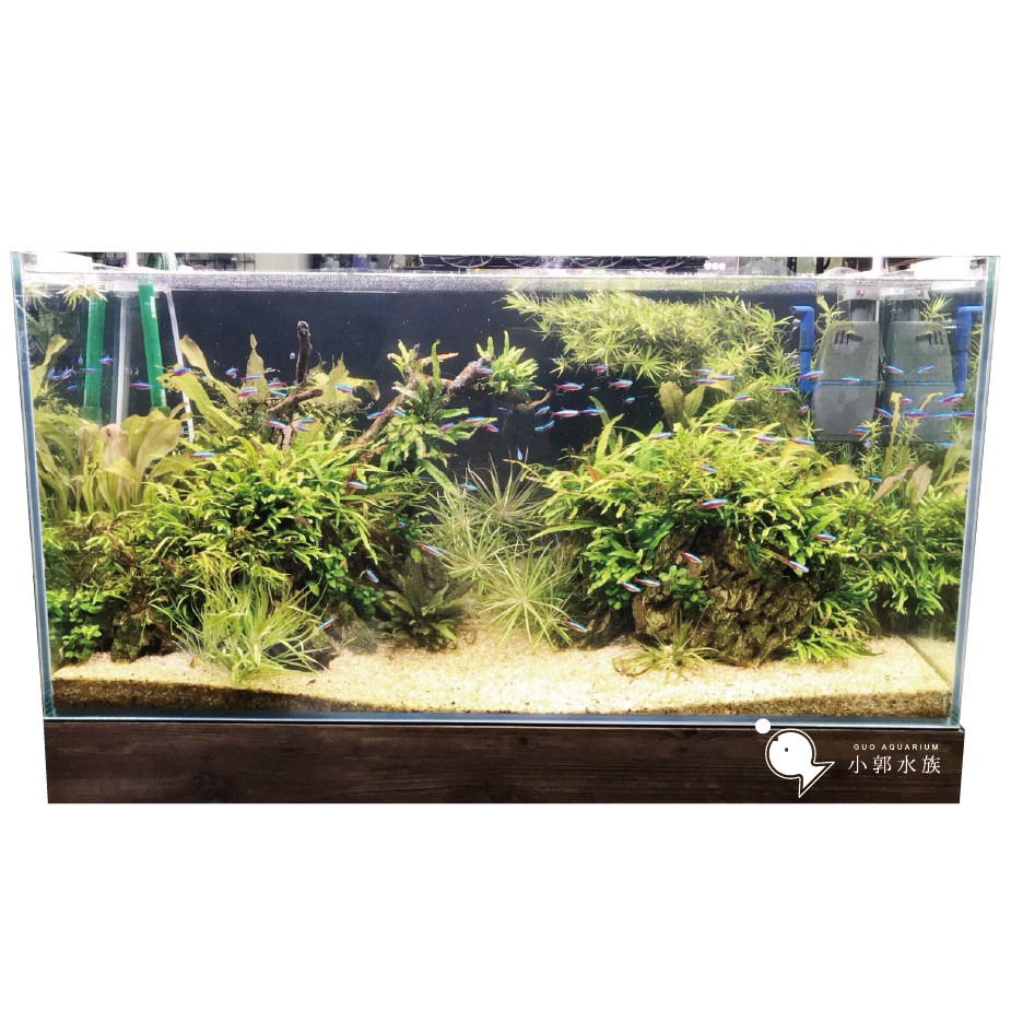 小郭水族 新美國矽砂1kg 不含貝殼砂 水草細砂 美國細沙 不含貝殼砂 蝦皮購物