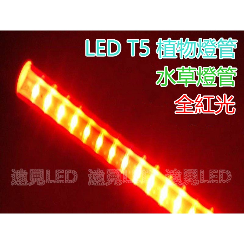 ♥遠見LED♥ T5 3尺 16W LED植物燈組 水族燈 紅光 附開關線 植物工廠 LED日光燈 高雄LED材料批發