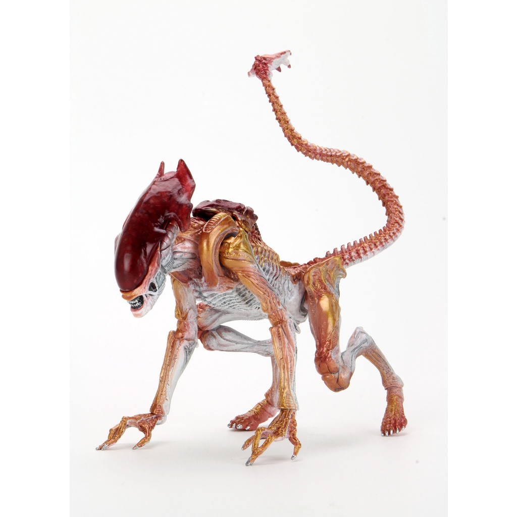 【NECA】異形 Kenner Tribute Panther Alien 豹異形 9吋 可動