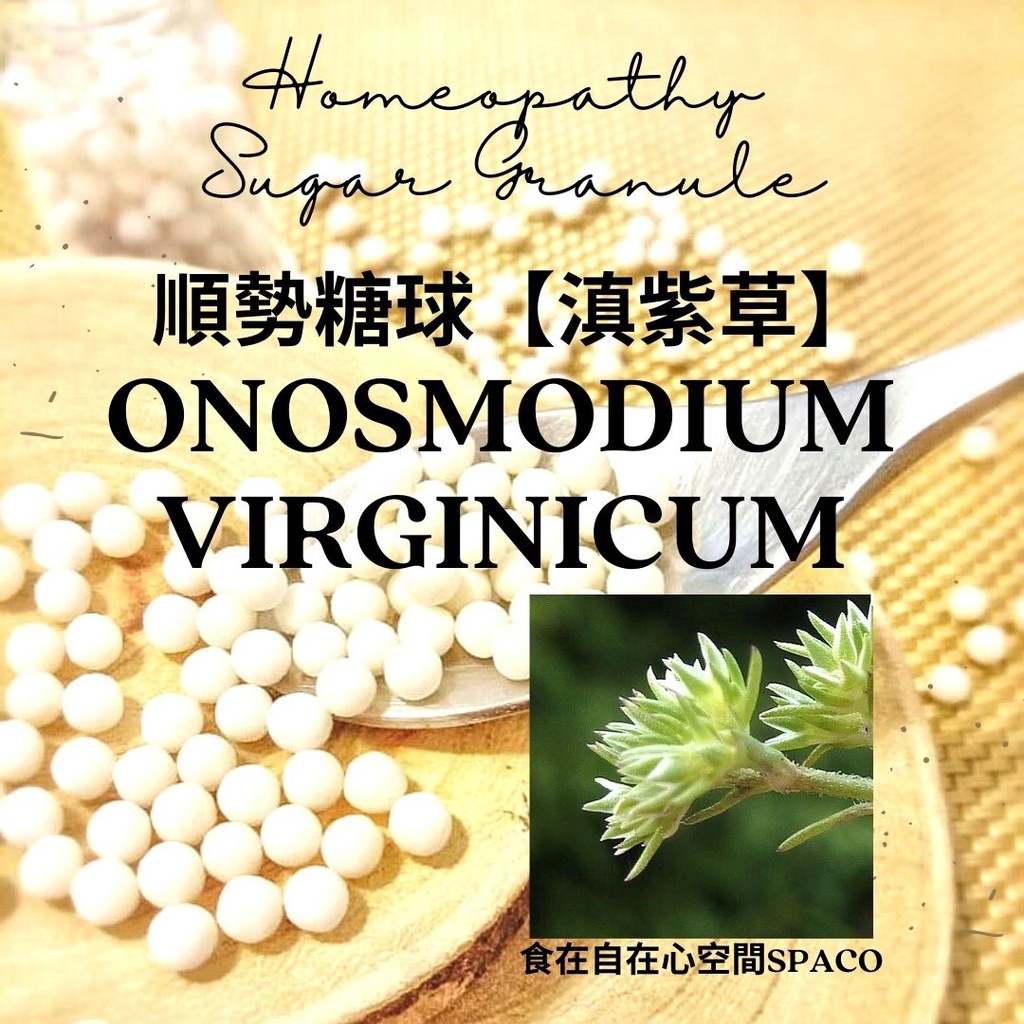 順勢糖球【Onosmodium Virginicum／滇紫草】Homeopathy