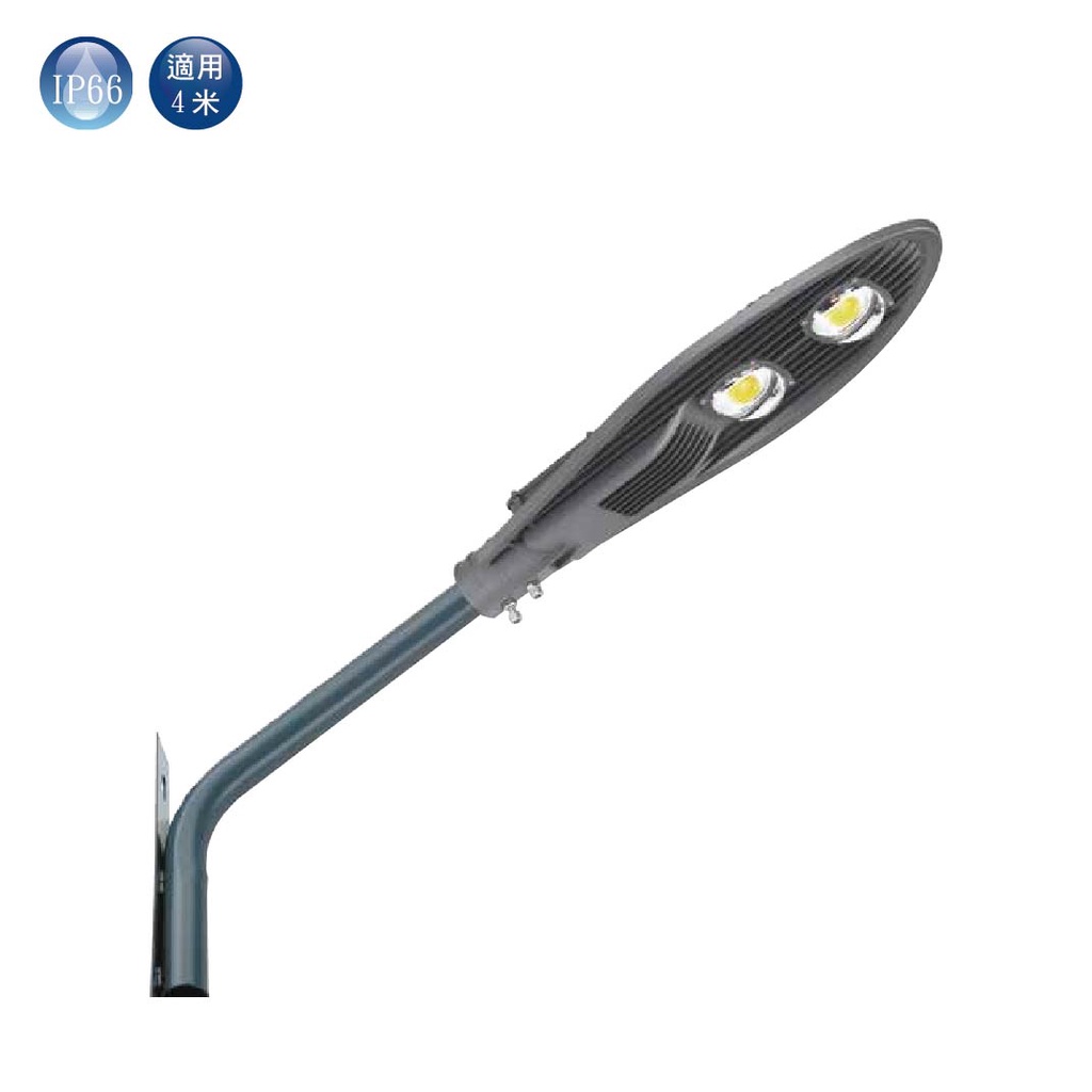 【舞光.LED】LED 100W銀榕路燈(白光)【實體門市保固一年】OD-10072R3