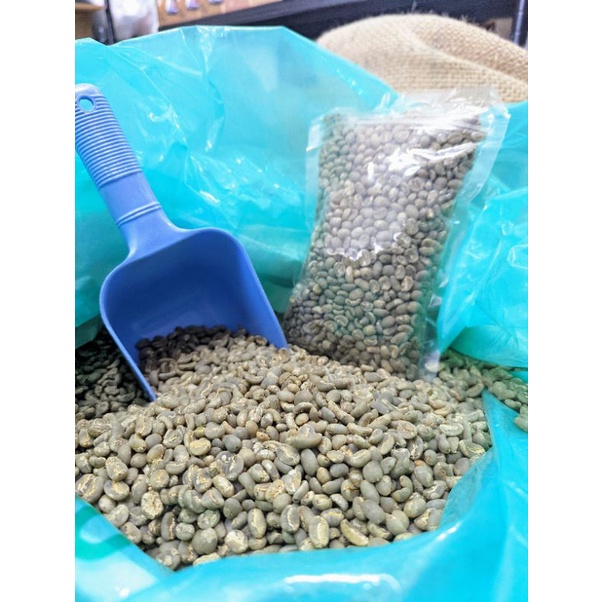 『船鼻子生豆』綠鑽曼特寧 迦幼阿拉比卡 印尼 咖啡生豆 曼特寧 半水洗 亞齊省 2022最新批次