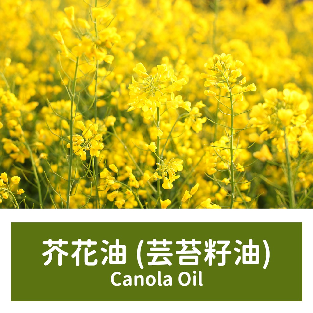 『現貨』 芥花油 (芸苔籽油) Canola Oil