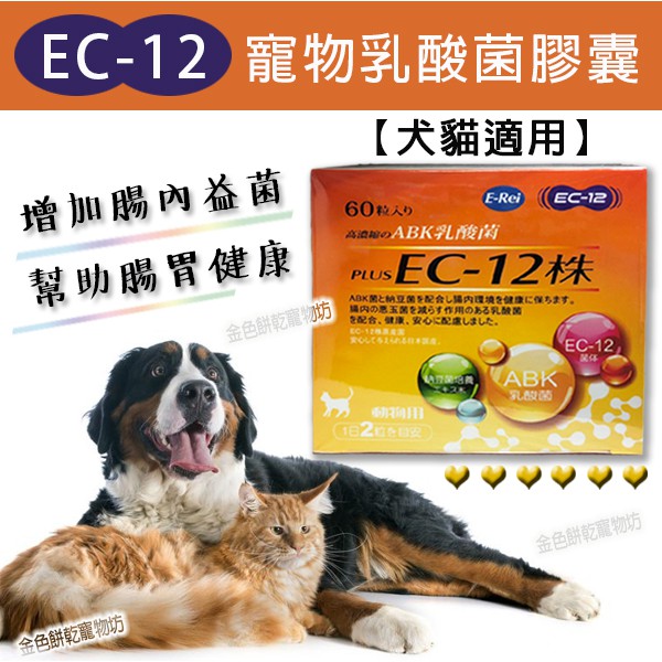 E Rei 犬貓適用 Ec12 乳酸菌膠囊 60粒裝維持腸內益菌幫助腸胃健康 蝦皮購物